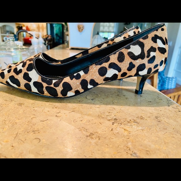 David Charles Heels - Picture 3 of 7